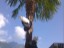 IMG-20130831-00084