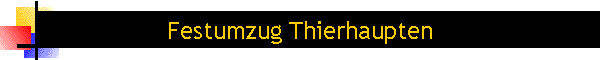 Festumzug Thierhaupten